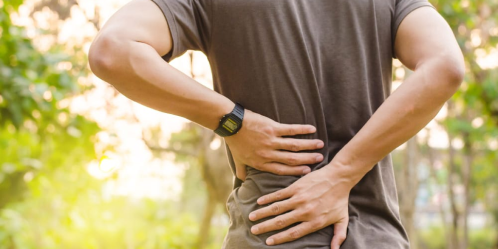 Improved Posture And Spinal Alignment