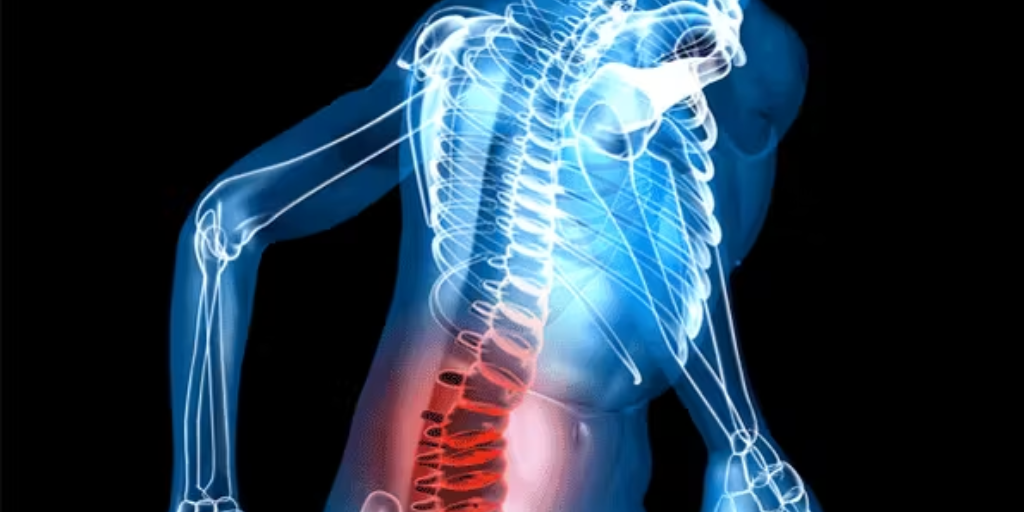 Musculoskeletal Benefits: It’s Not Just About the Spine